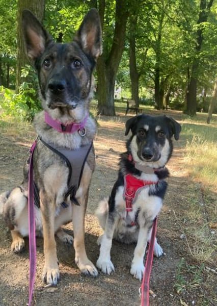 Xylo 💖 Gnadenplatz gesucht