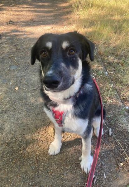 Xylo 💖 Gnadenplatz gesucht