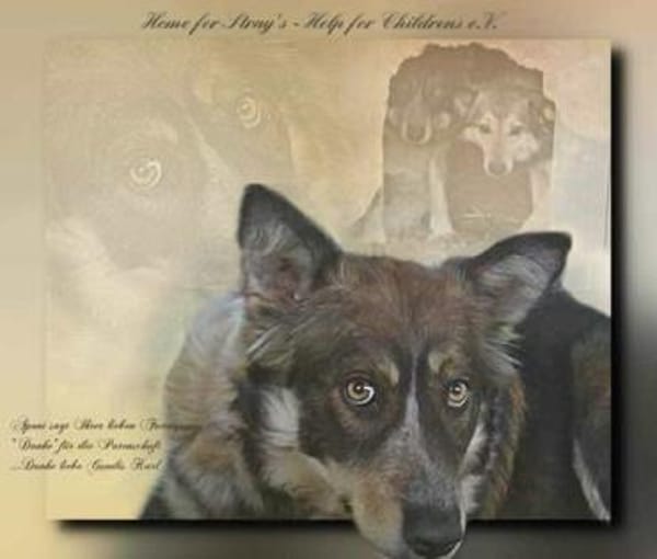 Aponi und Chanel - nur gemeinsam Zuhause