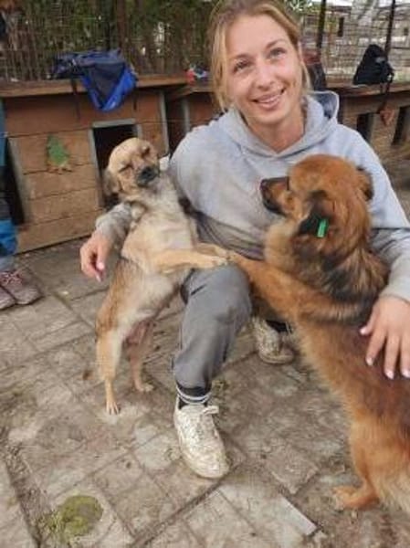 BARLEY-zuckersüßer Rüde, 32 cm