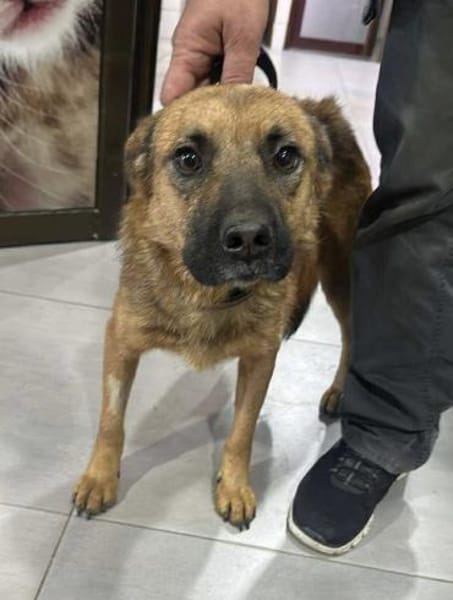 Track wartet bei 57572 Niederfischbach