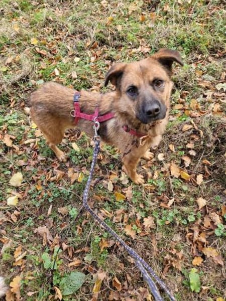 Track wartet bei 57572 Niederfischbach