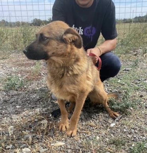 Track wartet bei 57572 Niederfischbach