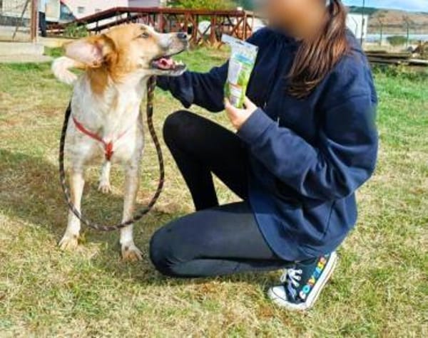 ❤Carino - Handicap......Chancenlos???