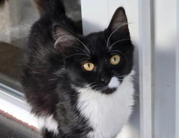 ROXY - unser Goldstück!