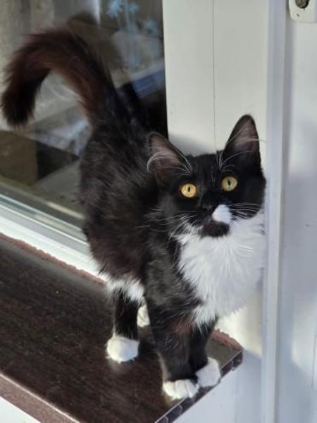 ROXY - unser Goldstück!