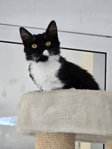 ROXY - unser Goldstück!