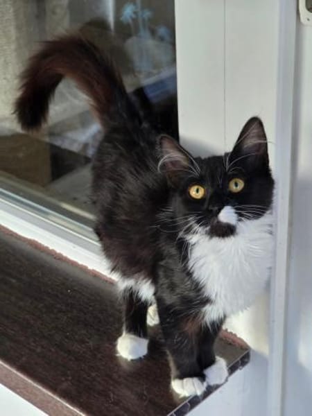 ROXY - unser Goldstück!