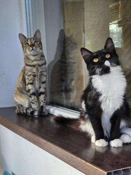 ROXY - unser Goldstück!