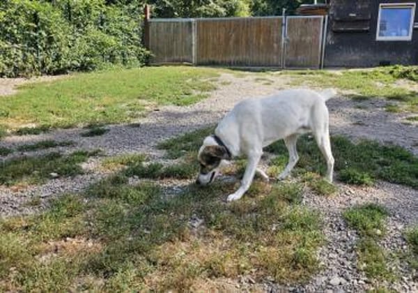 Maximus sucht erfahrene Menschen