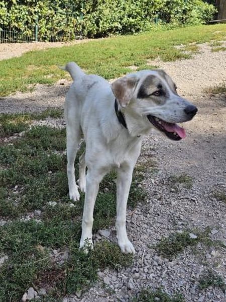 Maximus sucht erfahrene Menschen