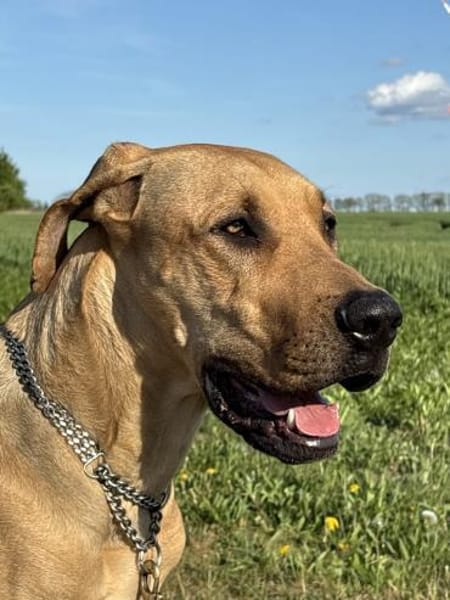 Frieda sucht erfahrene Menschen