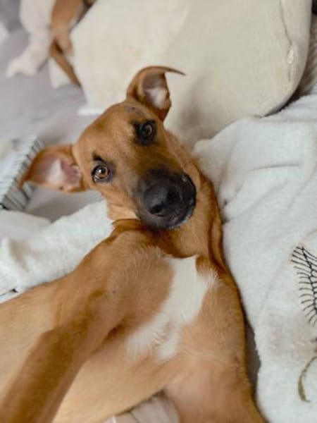 ERWIN - vom schüchternen Entdecker zum t