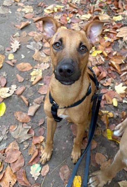 ERWIN - vom schüchternen Entdecker zum t