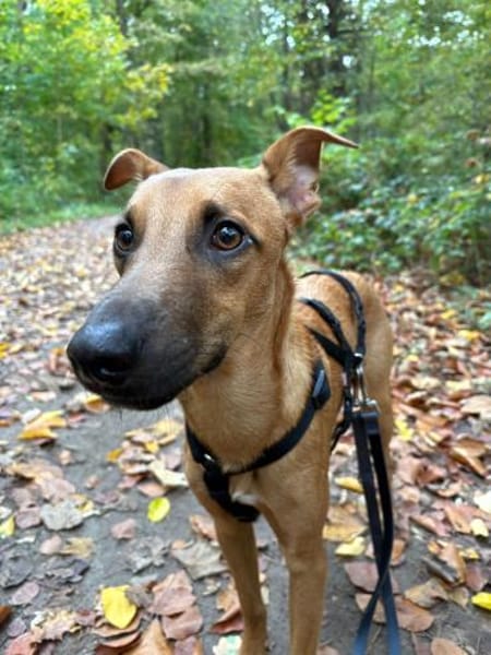 ERWIN - vom schüchternen Entdecker zum t