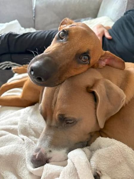 ERWIN - vom schüchternen Entdecker zum t