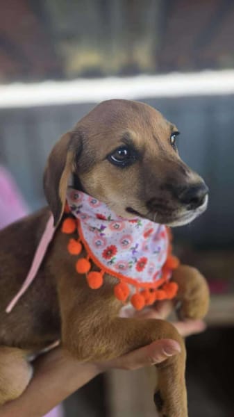 Mandy, klein, zart sucht Liebe