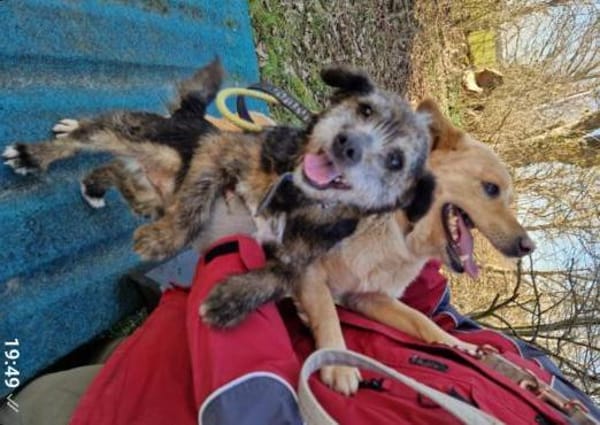 Uschi und Jack - Unzertrennlich