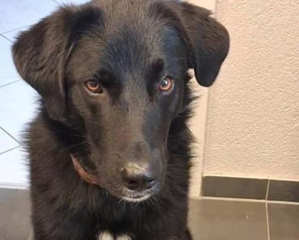 Monty sucht Haus mit Garten