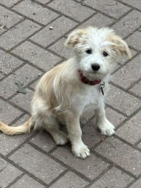 SAMSARA sucht ihre Familie