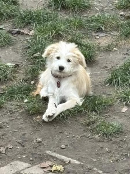 SAMSARA sucht ihre Familie