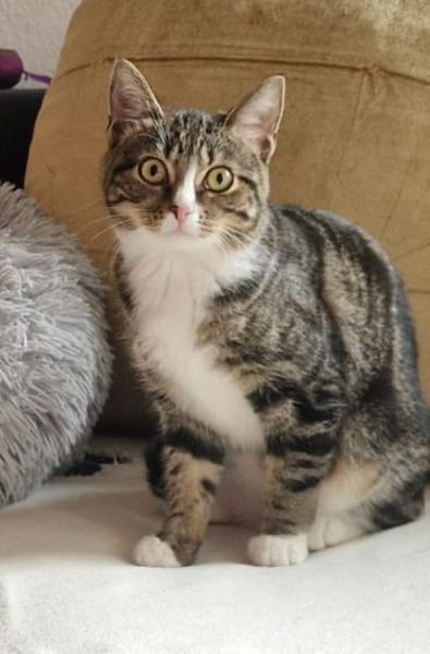 Gloria sucht liebevolle Dosenöffner