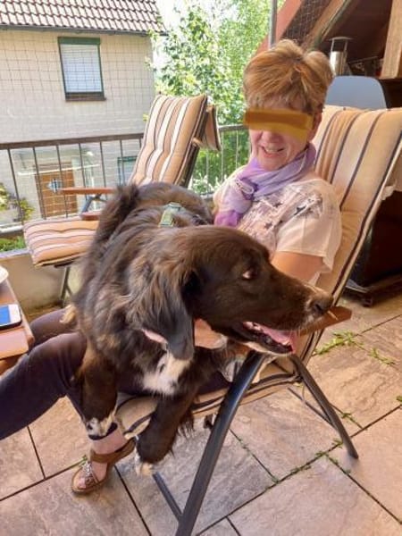 Paco 🍀🍀🍀 ist ein toller Rüde