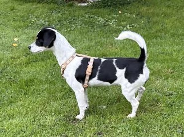 Süsse Gianna sucht ihr Glück