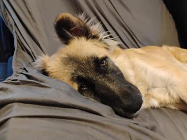 NATHAN sucht sportl. Menschen