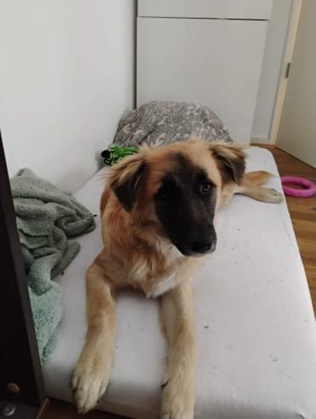 NATHAN sucht sportl. Menschen