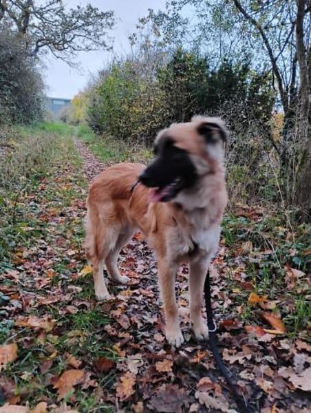 NATHAN sucht sportl. Menschen