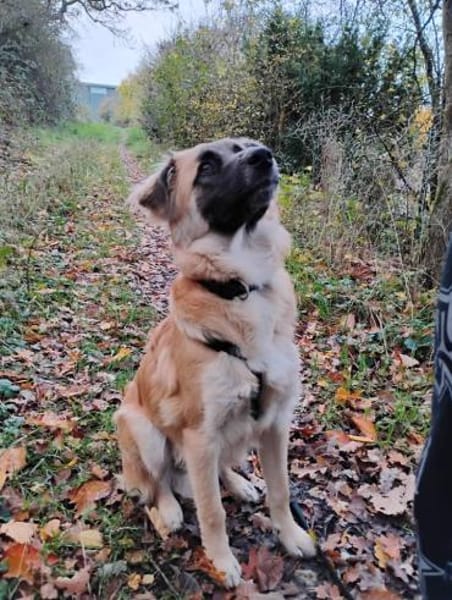 NATHAN sucht sportl. Menschen