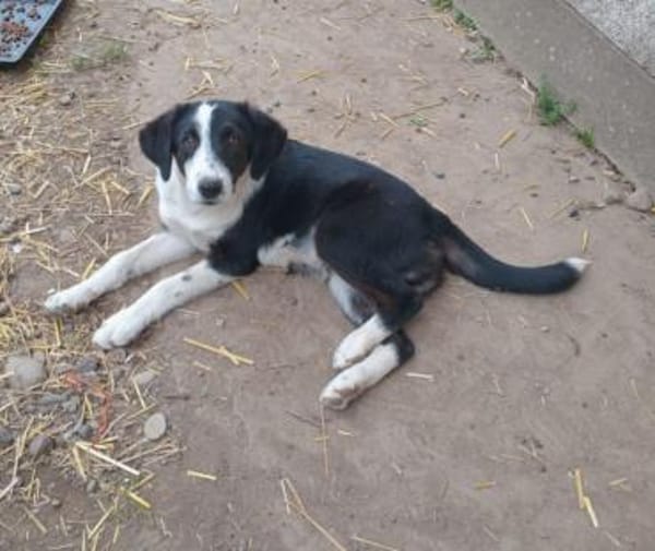 💙Jack Pot💙sucht sein großes Glück