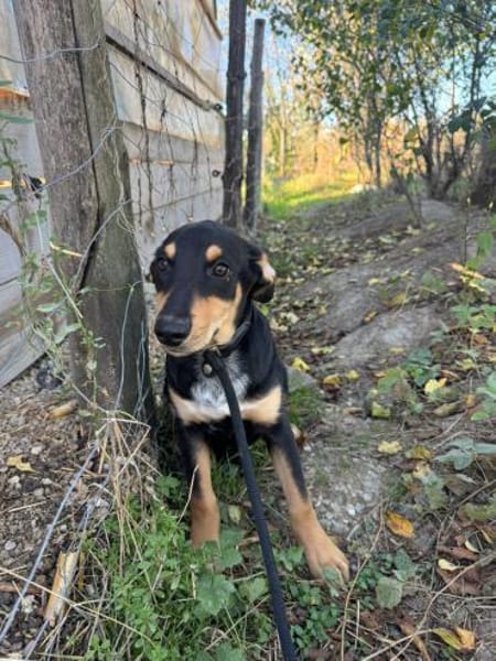 Unsere Funny sucht ihre Seelenheimat