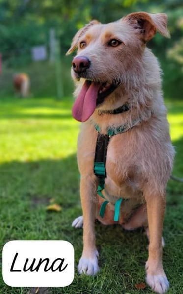 LUNA 💜💜💜  ausgeglichen, ruhig