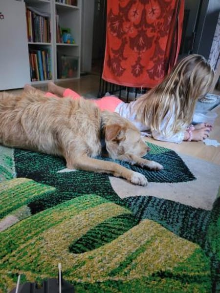 LUNA 💜💜💜  ausgeglichen, ruhig