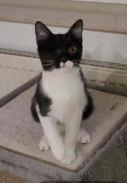 Piratin Anne Bonny sucht sicheren Hafen