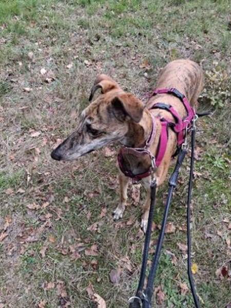 Fresa, ruhig und aufgeschlossen