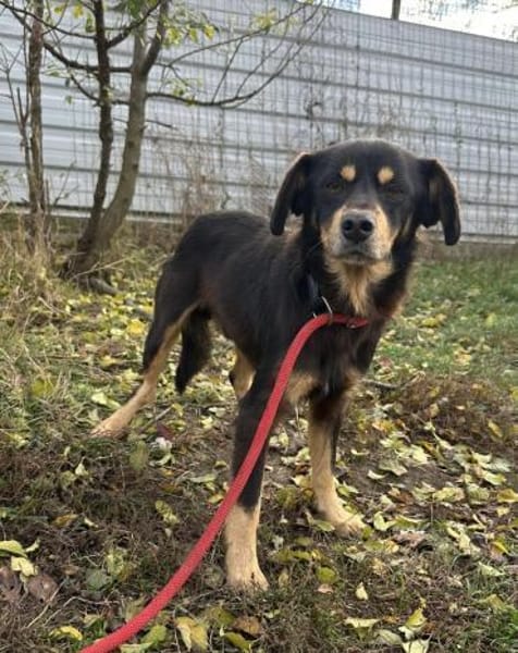 Tabaluga - unser kleiner Sonnenschein