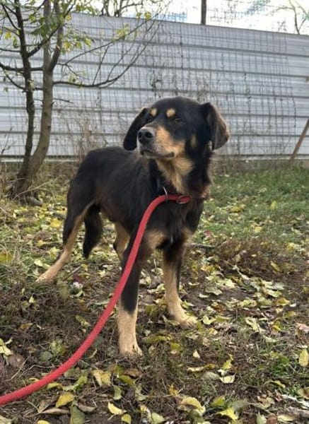 Tabaluga - unser kleiner Sonnenschein