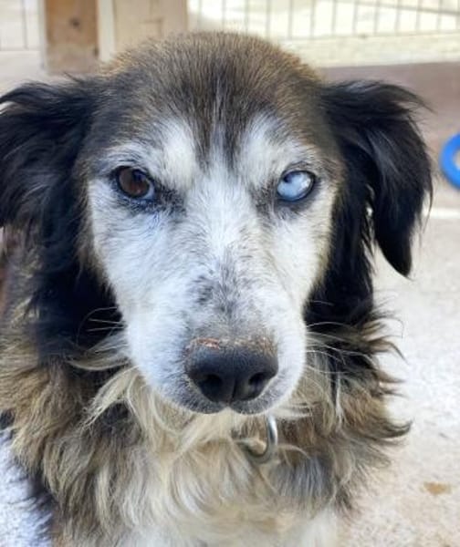 Forrest sucht sein ruhiges Glück