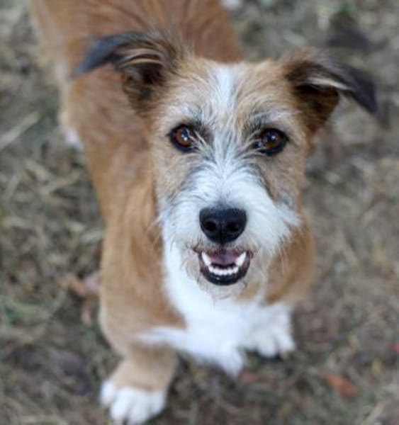 Lizu wünscht sich eine eigene Familie