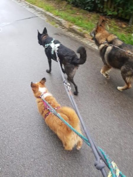 Lizu wünscht sich eine eigene Familie