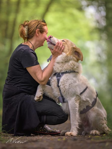 Ein cooler Typ - Attila wunderschön