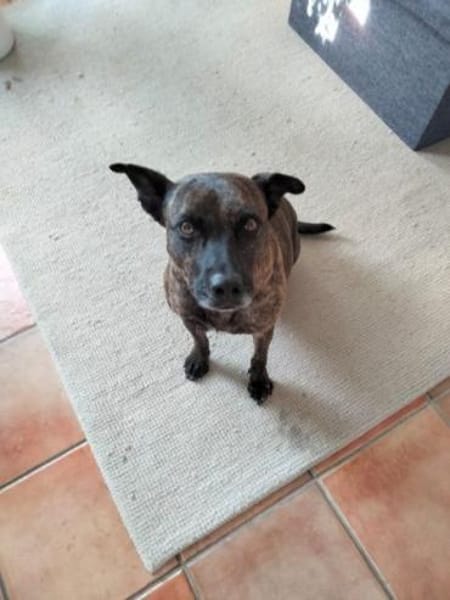 GRETA -Sonnenschein mit viel Charme-