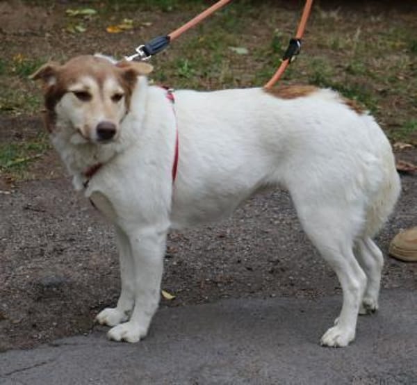 Sonnenschein Vanessa 37 cm geb. 03/2023