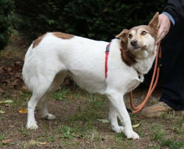 Sonnenschein Vanessa 37 cm geb. 03/2023