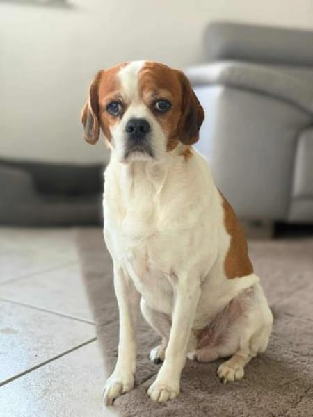 Beanie - ist unkompliziert