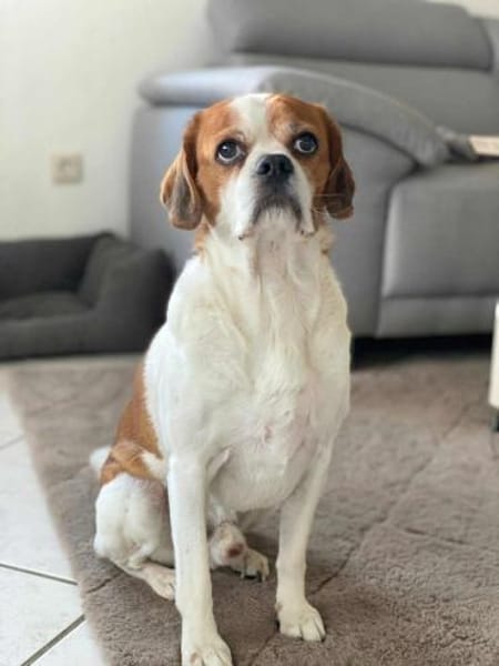 Beanie - ist unkompliziert