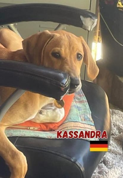 Kassandra - freundlich und sportlich